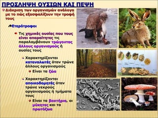 ΠΡΟΣΛΗΨΗ ΟΥΣΙΩΝ ΚΑΙ ΠΕΨΗ
Διάκριση των οργανισμών ανάλογα
με το πώς εξασφαλίζουν την τροφή
τους
Ετερότροφοι
Τις χημικές ουσίες που τους
είναι απαραίτητες τις
παραλαμβάνουν τρώγοντας
άλλους οργανισμούς ή
ουσίες τους
Χαρακτηρίζονται
καταναλωτές όταν τρώνε
άλλους οργανισμούς
Είναι τα ζώα
Χαρακτηρίζονται
αποικοδομητές όταν
τρώνε νεκρούς
οργανισμούς ή τμήματα
τους
Είναι τα βακτήρια, οι
μύκητες και τα
πρωτόζωα
 