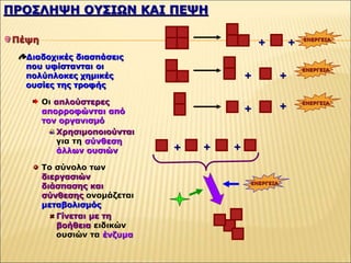ΠΡΟΣΛΗΨΗ ΟΥΣΙΩΝ ΚΑΙ ΠΕΨΗ
Πέψη
Διαδοχικές διασπάσεις
που υφίστανται οι
πολύπλοκες χημικές
ουσίες της τροφής
Οι απλούστερες
απορροφώνται από
τον οργανισμό
Χρησιμοποιούνται
για τη σύνθεση
άλλων ουσιών
Το σύνολο των
διεργασιών
διάσπασης και
σύνθεσης ονομάζεται
μεταβολισμός
Γίνεται με τη
βοήθεια ειδικών
ουσιών τα ένζυμα
+ +
ΕΝΕΡΓΕΙΑ
+ +
ΕΝΕΡΓΕΙΑ
+ +
ΕΝΕΡΓΕΙΑ
+ + +
ΕΝΕΡΓΕΙΑ
 