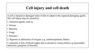 Cell injury and cell death
A cell is injured or damaged when it fails to adopt to the exposed damaging agents.
The cell injury may be caused by:
1. Infection agents, such as
• Viruses
• Bacteria
• Fungi
• Parasites
2. Hypoxia or deficiency of oxygen, e.g. cardiorespiratory failure.
3. Ischemia is loss of blood supply due to arterial or venous block e.g myocardial
infarction, gangrene of intestine.
 