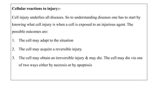 Cellular reactions to injury:-
Cell injury underlies all diseases. So to understanding diseases one has to start by
knowing what cell injury is when a cell is exposed to an injurious agent. The
possible outcomes are:
1. The cell may adapt to the situation
2. The cell may acquire a reversible injury.
3. The cell may obtain an irreversible injury & may die. The cell may die via one
of two ways either by necrosis or by apoptosis
 