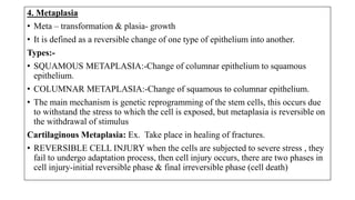 4. Metaplasia
• Meta – transformation & plasia- growth
• It is defined as a reversible change of one type of epithelium into another.
Types:-
• SQUAMOUS METAPLASIA:-Change of columnar epithelium to squamous
epithelium.
• COLUMNAR METAPLASIA:-Change of squamous to columnar epithelium.
• The main mechanism is genetic reprogramming of the stem cells, this occurs due
to withstand the stress to which the cell is exposed, but metaplasia is reversible on
the withdrawal of stimulus
Cartilaginous Metaplasia: Ex. Take place in healing of fractures.
• REVERSIBLE CELL INJURY when the cells are subjected to severe stress , they
fail to undergo adaptation process, then cell injury occurs, there are two phases in
cell injury-initial reversible phase & final irreversible phase (cell death)
 