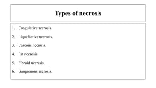 Types of necrosis
1. Coagulative necrosis.
2. Liquefactive necrosis.
3. Caseous necrosis.
4. Fat necrosis.
5. Fibroid necrosis.
6. Gangrenous necrosis.
 