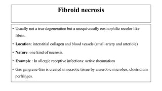 Fibroid necrosis
• Usually not a true degeneration but a unequivocally eosinophilic recolor like
fibrin.
• Location: interstitial collagen and blood vessels (small artery and arteriole)
• Nature: one kind of necrosis.
• Example : In allergic receptive infections: active rheumatism
• Gas gangrene Gas is created in necrotic tissue by anaerobic microbes, clostridium
perfringes.
 