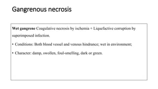Gangrenous necrosis
Wet gangrene Coagulative necrosis by ischemia + Liquefactive corruption by
superimposed infection.
• Conditions: Both blood vessel and venous hindrance; wet in environment;
• Character: damp, swollen, foul-smelling, dark or green.
 
