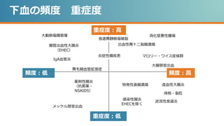 下血の頻度 重症度
IgA血管炎
腸管出血性大腸炎
（EHEC）
出血性胃十二指腸潰瘍
マロリー・ワイス症候群
感染性腸炎
EHECを除く
消化管悪性腫瘍
炎症性腸疾患
大腸憩室出血
虚血性大腸炎
薬剤性腸炎
（抗菌薬・
NSAIDS）
逆流性食道炎
メッケル憩室出血
特発性直腸潰瘍
胃毛細血管拡張症
大動脈瘤腸管瘻
痔核・裂肛
重症度：高
重症度：低
頻度：高
頻度：低
食道胃静脈瘤破裂
 
