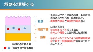 解剖を理解する
粘膜
粘膜下層
筋層
粘膜内の毛細血管
粘膜下層の細動静脈
炎症が起こると粘膜の浮腫 毛細血管
血管透過性が亢進 出血を来す。
虚血性大腸炎や潰瘍性大腸炎など
粘膜の血管は
①血管圧の上昇のよる破裂
②外力や胃酸による刺激の粘膜損傷
①②のメカニズムにより食道静脈瘤破
裂や胃十二指腸潰瘍など大量の出血を
来しやすい
 