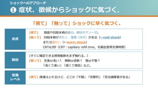 「視て」「触って」ショックに早く気づく。
[視て] 顔面や四肢末梢の蒼白、網状チアノーゼ。
[触って] 四肢末梢が冷たく、湿潤（冷汗）がある（←cold shock）
または温かい（←warm shock）
CRT≧2秒（CRT：capillary refill time，毛細血管再充満時間）
ショックへのアプローチ
❶ 症状、徴候からショックに気づく。
皮膚
脈拍
意識
レベル
(すぐに確認できる橈骨動脈をまず触れる。）
[触って] 充実or浅い？ 頻脈or徐脈？ 整or不整？
「浅くて速い」「遅くて微弱」など。
[視て］疎通はとれるけど、どこか「不穏」「攻撃的」「見当識障害がある」
 