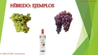 05/04/2022 5
HÍBRIDO: EJEMPLOS
 