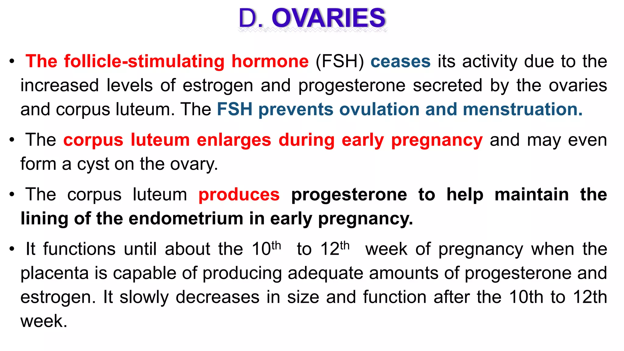 1. 2. physiology of pregnancy | PPTX