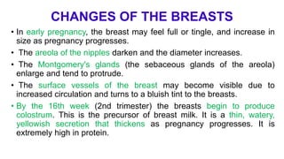 1. 2. physiology of pregnancy | PPTX