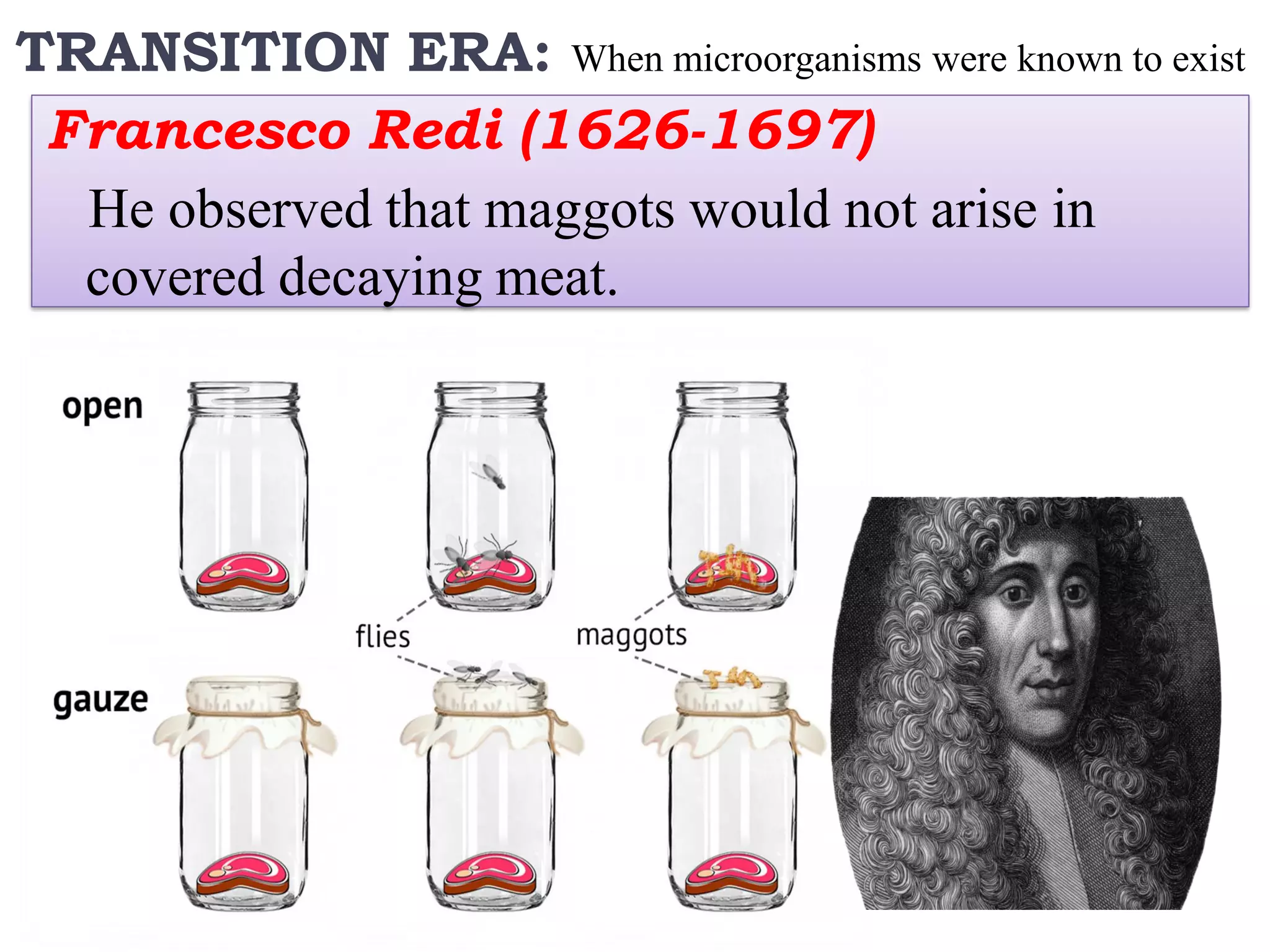 Francesco Redi (1626-1697)
He observed that maggots would not arise in
covered decaying meat.
TRANSITION ERA: When microorganisms were known to exist
 
