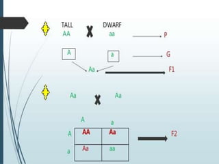 1. Heredity and Genetics.pptx