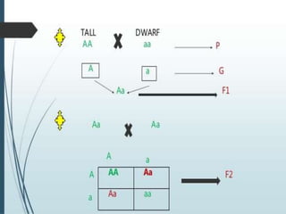 1. Heredity and Genetics.pptx
