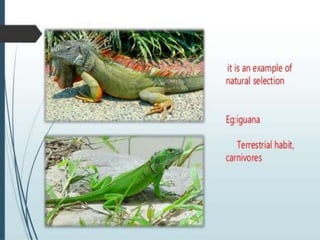 1. Heredity and Genetics.pptx
