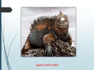 1. Heredity and Genetics.pptx