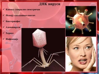 ДНК вируси
 Капсид- спирално симетричан
 Немају спољашњи омотач
 Бактериофаг
 Аденовируси
 Херпес
 Инфекције
 