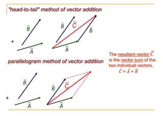 1. VECTORS.pptx