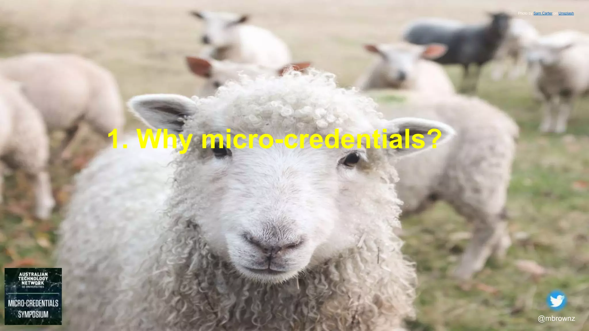 @mbrownz
1. Why micro-credentials?
Photo by Sam Carter on Unsplash
 