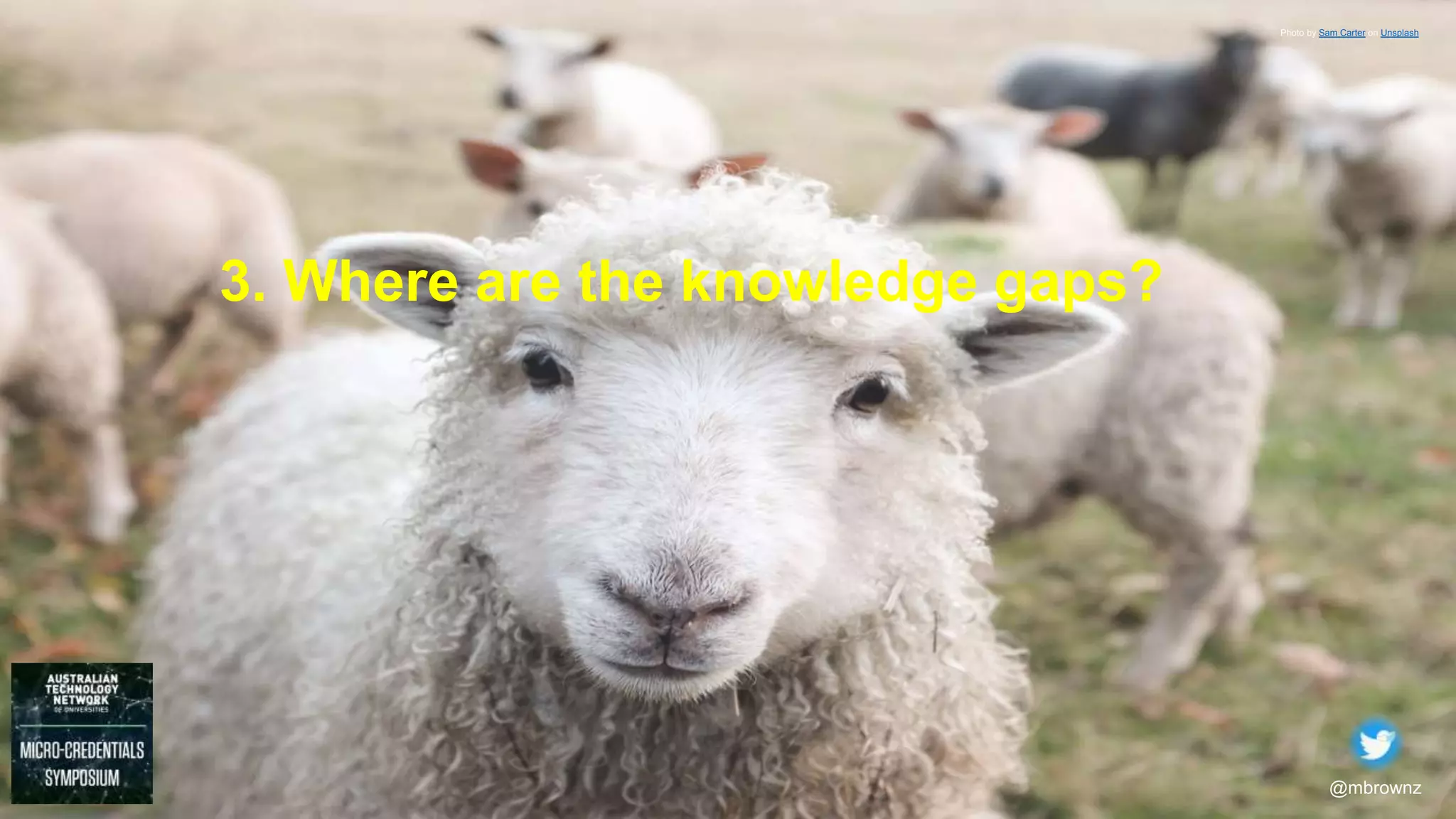 @mbrownz
3. Where are the knowledge gaps?
Photo by Sam Carter on Unsplash
 