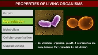 Reproduction
Metabolism
Cellular organisation
Consciousness
Growth
 In unicellular organisms, growth & reproduction are
same because they reproduce by cell division.
PROPERTIES OF LIVING ORGANISMS
 