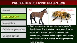 Reproduction
Metabolism
Cellular organisation
Consciousness
Growth
 Many organisms do not reproduce (e.g. mules(A
female horse & male donkey have a mule They are
sterile bcz they can’t produce sperm or egg),
worker bees, infertile human couples, etc). Hence,
reproduction is not a perfect defining property of
living organisms.
Mule Worker Honeybee
PROPERTIES OF LIVING ORGANISMS
 