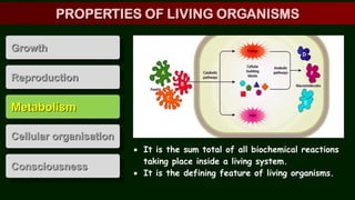 Metabolism
Cellular organisation
Consciousness
Growth
Reproduction
 It is the sum total of all biochemical reactions
taking place inside a living system.
 It is the defining feature of living organisms.
PROPERTIES OF LIVING ORGANISMS
 