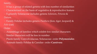 family
It has a group of related genera with less number of similarities
Characterized on the basis of vegetative & reproductive feature
E.g:family Solanaceae includes genera Solanum, Petunia &
Datura.
Family Felidae includes genera Panthera (lion, tiger ,leopard) &
Felis (cat)
Order
Assemblage of families which exhibit few similar characters
Similar characters will be less in number
Plants family Convolvulaceae, Solanaceae- order Polymoniales
Animals family Felidae & Canidae- order Carnivora
 