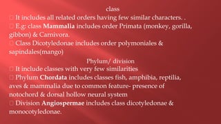 class
It includes all related orders having few similar characters. .
E.g: class Mammalia includes order Primata (monkey, gorilla,
gibbon) & Carnivora.
Class Dicotyledonae includes order polymoniales &
sapindales(mango)
It include classes with very few similarities
Phylum Chordata includes classes fish, amphibia, reptilia,
aves & mammalia due to common feature- presence of
notochord & dorsal hollow neural system
Division Angiospermae includes class dicotyledonae &
monocotyledonae.
 