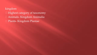 kingdom
Highest category of taxonomy
Animals- Kingdom Animalia
Plants- Kingdom Plantae
 