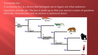 Taxonomic key
A taxonomic key is a device that biologists use to figure out what unknown
organisms actually are. The key is made up so that you answer a series of questions
about the characteristics and an answer is narrowed down
 