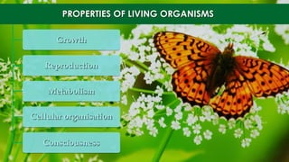 PROPERTIES OF LIVING ORGANISMS
Growth
Reproduction
Metabolism
Cellular organisation
Consciousness
 