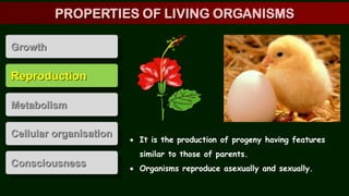 Reproduction
Metabolism
Cellular organisation
Consciousness
Growth
 It is the production of progeny having features
similar to those of parents.
 Organisms reproduce asexually and sexually.
PROPERTIES OF LIVING ORGANISMS
 