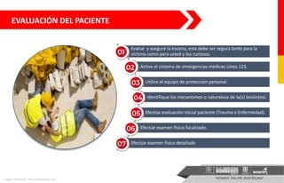 EVALUACIÓN DEL PACIENTE
Imagen tomada de: https://actualicese.com
Evalué y asegure la escena, esta debe ser segura tanto para la
víctima como para usted y los curiosos.
Active el sistema de emergencias médicas Línea 123.
Utilice el equipo de protección personal.
Identifique los mecanismos o naturaleza de la(s) lesión(es).
Efectúe evaluación inicial paciente (Trauma o Enfermedad).
Efectúe examen físico focalizado.
Efectúe examen físico detallado
 