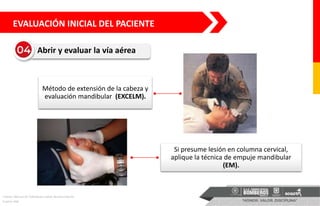 Abrir y evaluar la vía aérea
Método de extensión de la cabeza y
evaluación mandibular (EXCELM).
Si presume lesión en columna cervical,
aplique la técnica de empuje mandibular
(EM).
Fuente: Manula de TUM Basico AAOS, Novena Edicion
Fuente: Ibid
EVALUACIÓN INICIAL DEL PACIENTE
 