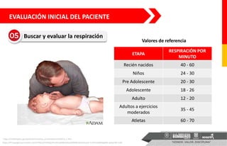 https://lh3.googleusercontent.com/VTNCLKjYhiPqkp2FivA61p0t8arQHUyA5RN8rzECaItmuUE-Co07UxQRD6tg69H-qeGj258=s140
Valores de referencia
EVALUACIÓN INICIAL DEL PACIENTE
Buscar y evaluar la respiración
ETAPA
RESPIRACIÓN POR
MINUTO
Recién nacidos 40 - 60
Niños 24 - 30
Pre Adolescente 20 - 30
Adolescente 18 - 26
Adulto 12 - 20
Adultos a ejercicios
moderados
35 - 45
Atletas 60 - 70
https://medlineplus.gov/spanish/ency/esp_presentations/100216_1.htm
 