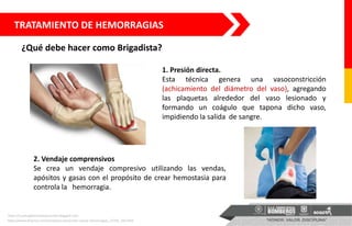 TRATAMIENTO DE HEMORRAGIAS
¿Qué debe hacer como Brigadista?
1. Presión directa.
Esta técnica genera una vasoconstricción
(achicamiento del diámetro del vaso), agregando
las plaquetas alrededor del vaso lesionado y
formando un coágulo que tapona dicho vaso,
impidiendo la salida de sangre.
https://tusaludybienestarpuravida.blogspot.com
2. Vendaje comprensivos
Se crea un vendaje compresivo utilizando las vendas,
apósitos y gasas con el propósito de crear hemostasia para
controla la hemorragia.
https://www.65ymas.com/consejos/como/como-actuar-hemorragias_12766_102.html
 