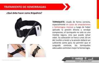 TRATAMIENTO DE HEMORRAGIAS
¿Qué debe hacer como Brigadista?
TORNIQUETE: Usado de forma correcta,
especialmente en casos de amputaciones
y hemorragias masivas y luego de haber
aplicado la presión directa y vendaje
compresivo; el torniquete no solo es una
medida segura, sino que puede salvar
vidas. Su colocación se hará a unos 10 cm
del muñón o lesión y la presión deberá ser
suficiente como para no permitir que el
sangrado continúe, los torniquetes
adecuados controlan mejor la hemorragia.
Imágenes tomadas de: https://sanoetpharm.fr
 