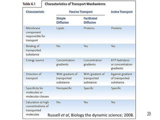 29
Russell et al, Biology the dynamic science; 2008.
 