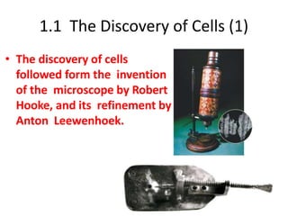 1.1 The Discovery of Cells (1)
• The discovery of cells
followed form the invention
of the microscope by Robert
Hooke, and its refinement by
Anton Leewenhoek.
 