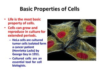 Basic Properties of Cells
• Life is the most basic
property of cells.
• Cells can grow and
reproduce in culture for
extended periods.
– HeLa cells are cultured
tumor cells isolated form
a cancer patient
(Henrietta Lacks) by
George Gey in 1951.
– Cultured cells are an
essential tool for cell
biologists.
 