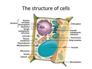 The structure of cells
 