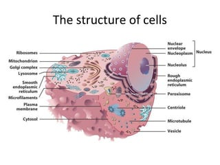 The structure of cells
 