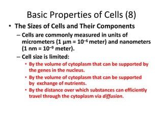 Basic Properties of Cells (8)
• The Sizes of Cells and Their Components
– Cells are commonly measured in units of
micrometers (1 μm = 10–6 meter) and nanometers
(1 nm = 10–9 meter).
– Cell size is limited:
• By the volume of cytoplasm that can be supported by
the genes in the nucleus.
• By the volume of cytoplasm that can be supported
by exchange of nutrients.
• By the distance over which substances can efficiently
travel through the cytoplasm via diffusion.
 