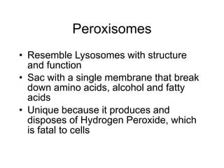 Peroxisomes
• Resemble Lysosomes with structure
and function
• Sac with a single membrane that break
down amino acids, alcohol and fatty
acids
• Unique because it produces and
disposes of Hydrogen Peroxide, which
is fatal to cells
 