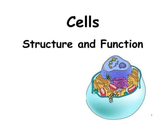 Cells
Structure and Function
1
 