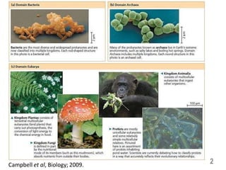 2
Campbell et al, Biology; 2009.
 