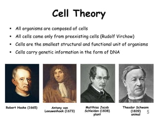 Cell Theory
 All organisms are composed of cells
 All cells come only from preexisting cells (Rudolf Virchow)
 Cells are the smallest structural and functional unit of organisms
 Cells carry genetic information in the form of DNA
5
Robert Hooke (1665) Matthias Jacob
Schleiden (1838)
plant
Theodor Schwann
(1839)
animal
Antony van
Leeuwenhoek (1673)
 