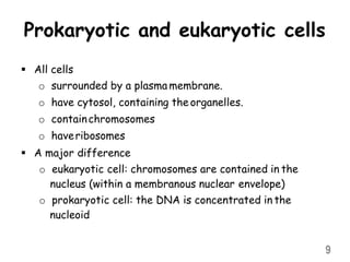 Prokaryotic and eukaryotic cells
 All cells
o surrounded by a plasma membrane.
o have cytosol, containing the organelles.
o containchromosomes
o haveribosomes
 A major difference
o eukaryotic cell: chromosomes are contained in the
nucleus (within a membranous nuclear envelope)
o prokaryotic cell: the DNA is concentrated in the
nucleoid
9
 