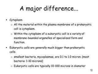 A major difference...
 Cytoplasm
o All the material within the plasma membrane of a prokaryotic
cell is cytoplasm.
o Within the cytoplasm of a eukaryotic cell is a variety of
membrane-bounded organelles of specialized form and
function.
 Eukaryotic cells are generally much bigger than prokaryotic
cells.
o smallest bacteria, mycoplasmas, are 0.1 to 1.0 micron. (most
bacteria: 1-10 microns)
o Eukaryotic cells are typically 10-100 microns in diameter
10
 