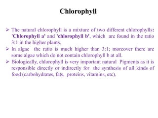  The natural chlorophyll is a mixture of two different chlorophylls:
'Chlorophyll a' and 'chlorophyll b', which are found in the ratio
3:1 in the higher plants.
 In algae the ratio is much higher than 3:1; moreover there are
some algae which do not contain chlorophyll b at all.
 Biologically, chlorophyll is very important natural Pigments as it is
responsible directly or indirectly for the synthesis of all kinds of
food (carbohydrates, fats, proteins, vitamins, etc).
Chlorophyll
 
